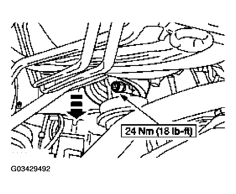 G03429492
