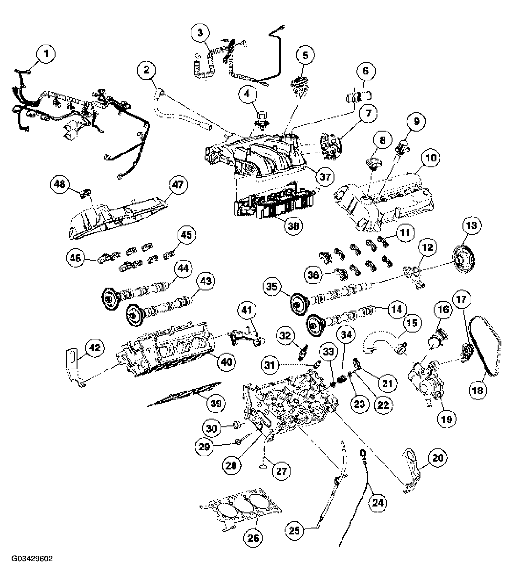 G03429602