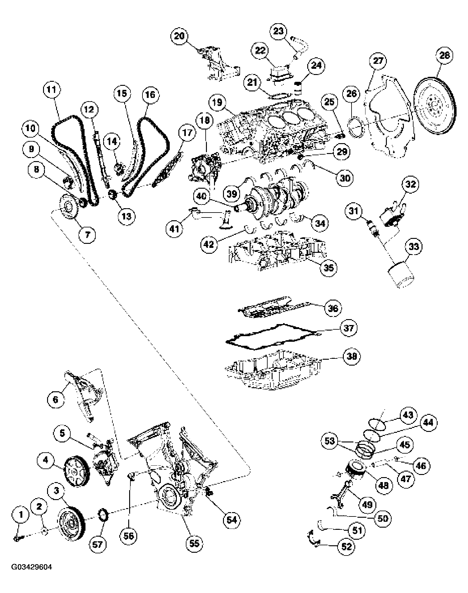 G03429604