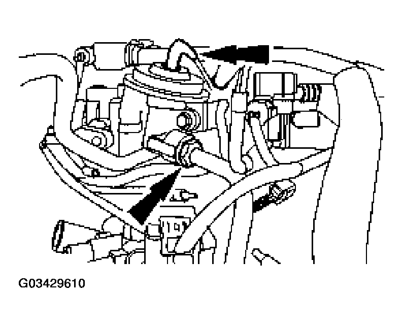 G03429610