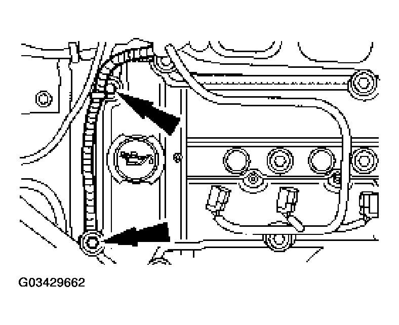 G03429662