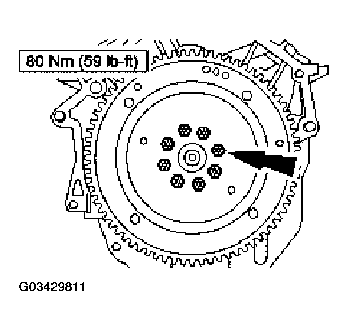 G03429811