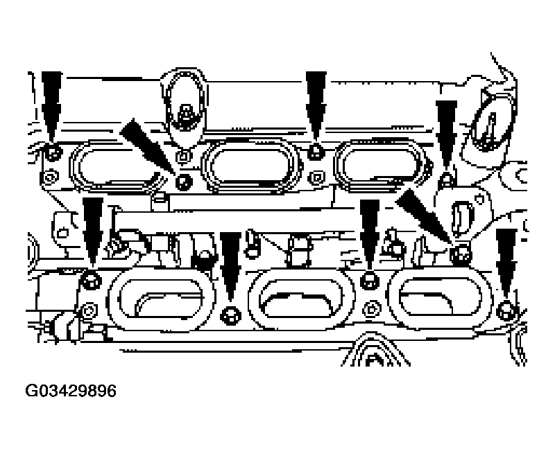 G03429896