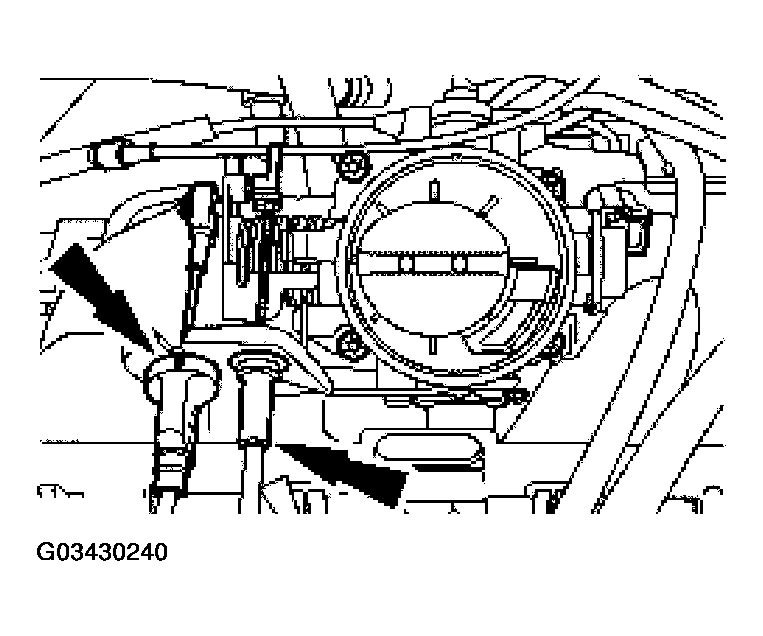 G03430240