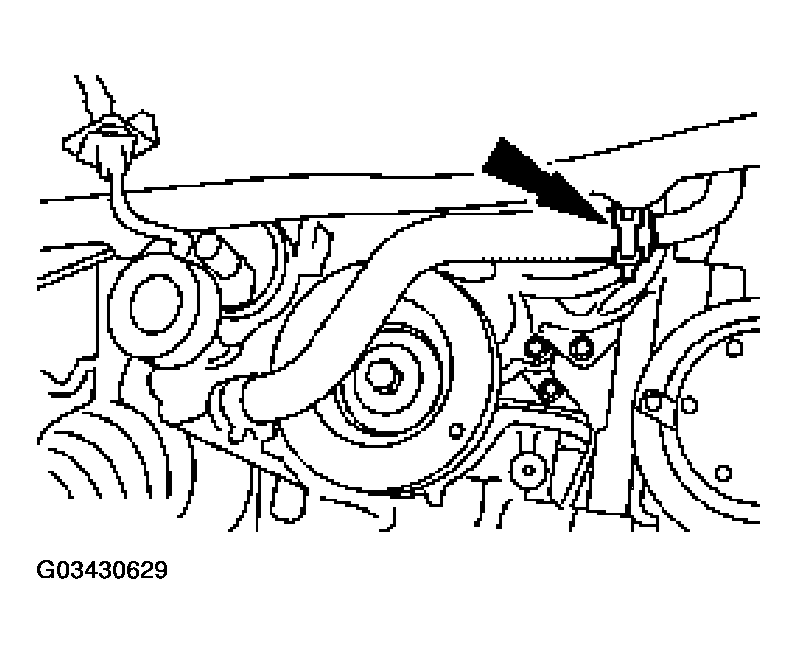 G03430629
