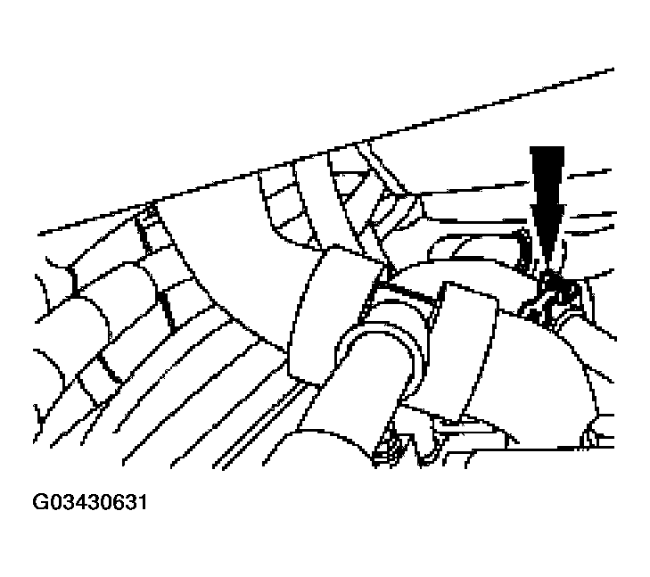 G03430631