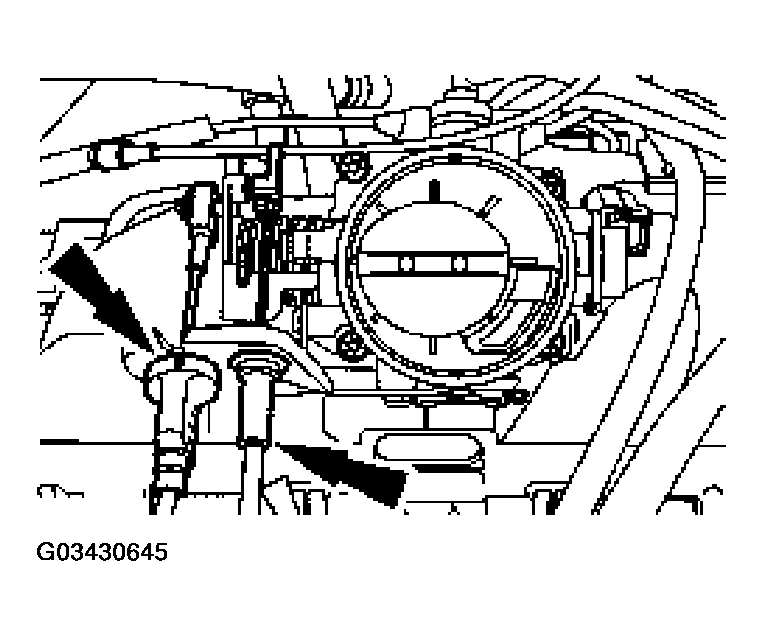G03430645