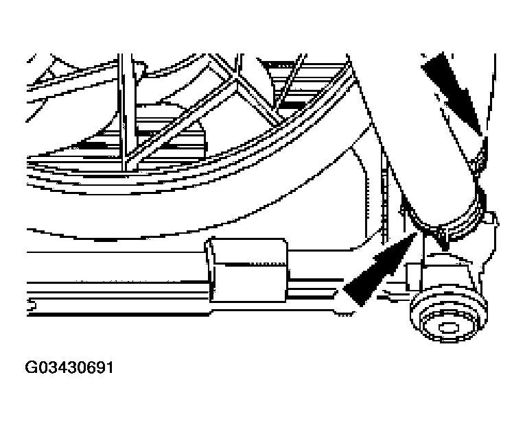 G03430691