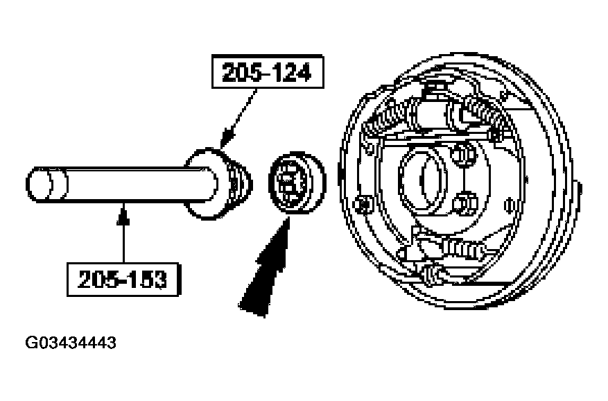 G03434443