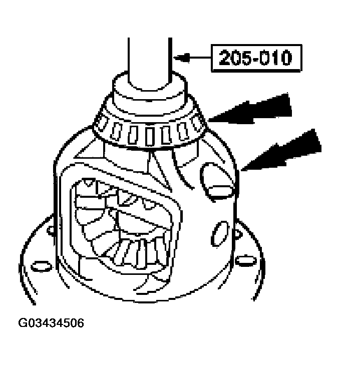G03434506