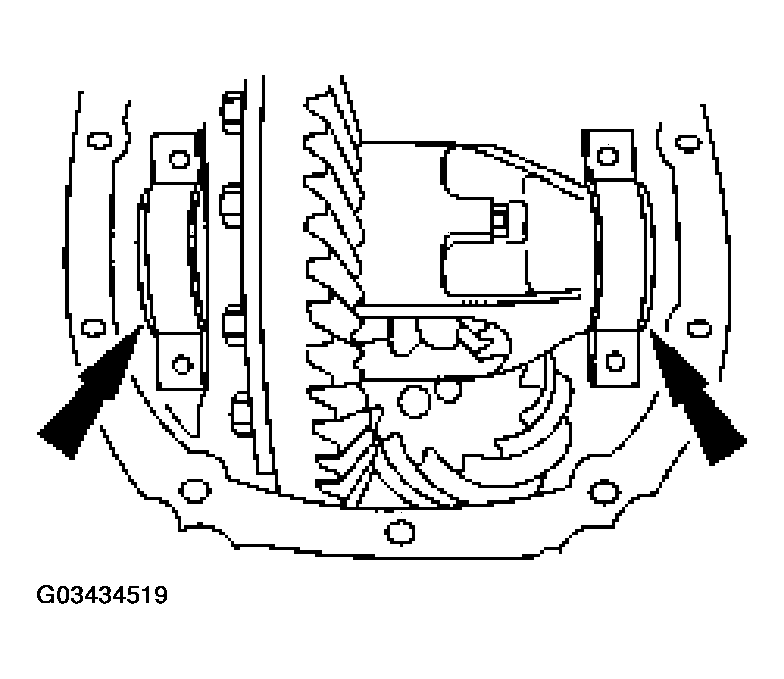 G03434519