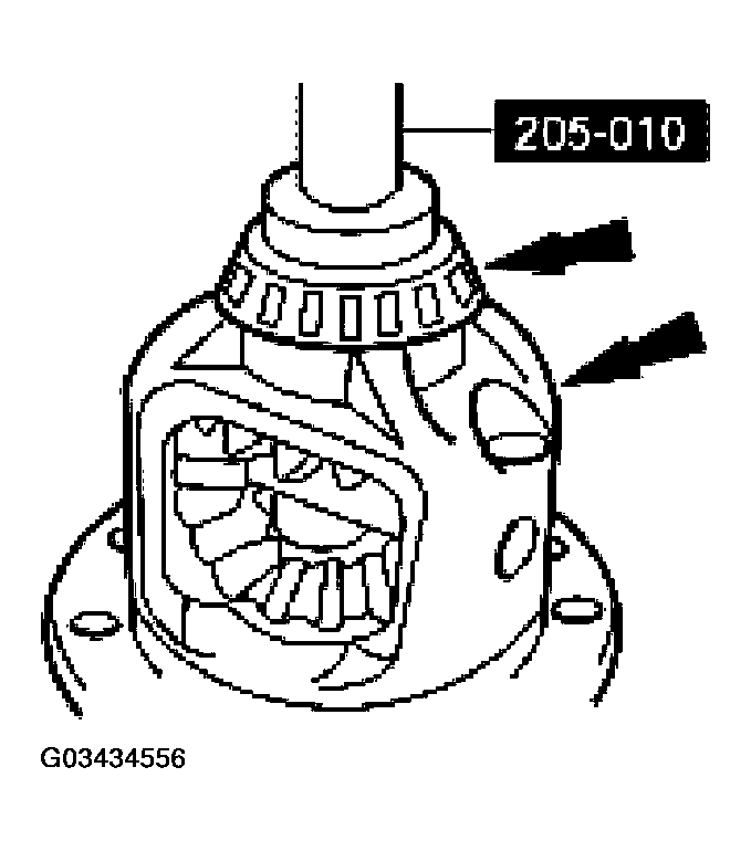 G03434556