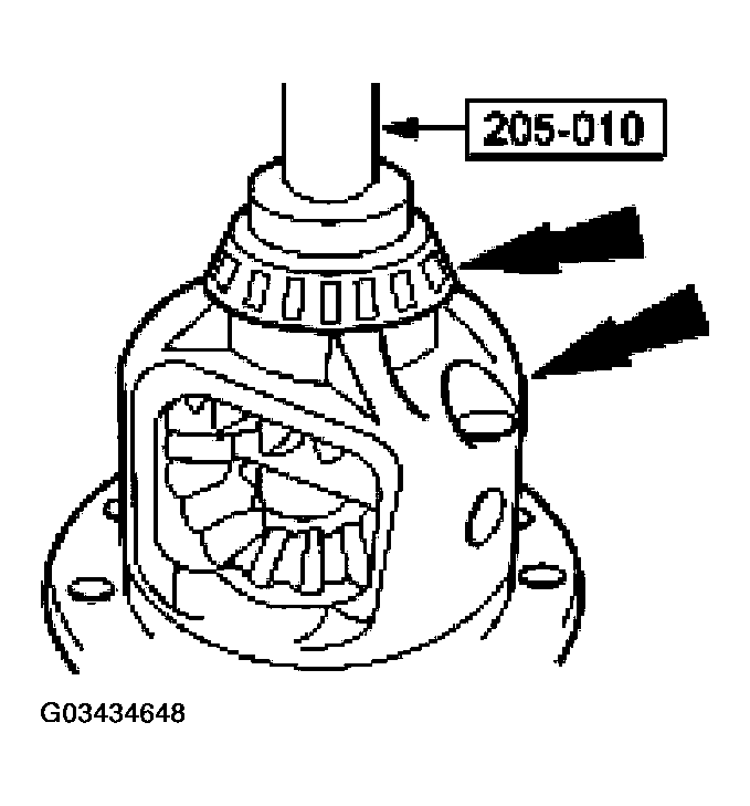 G03434648