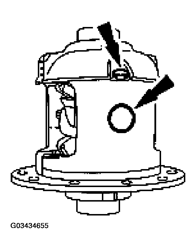 G03434655