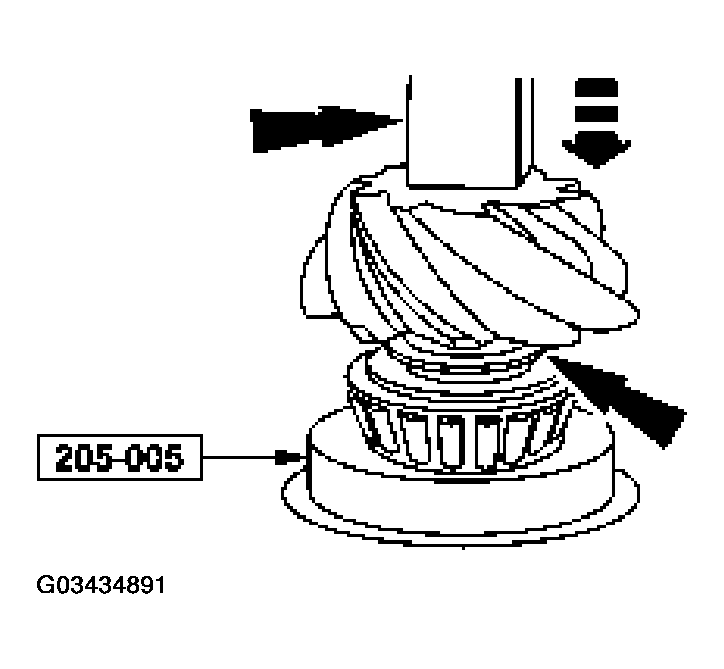G03434891