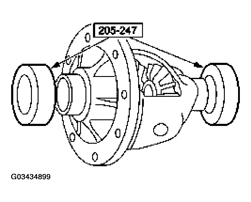 G03434899