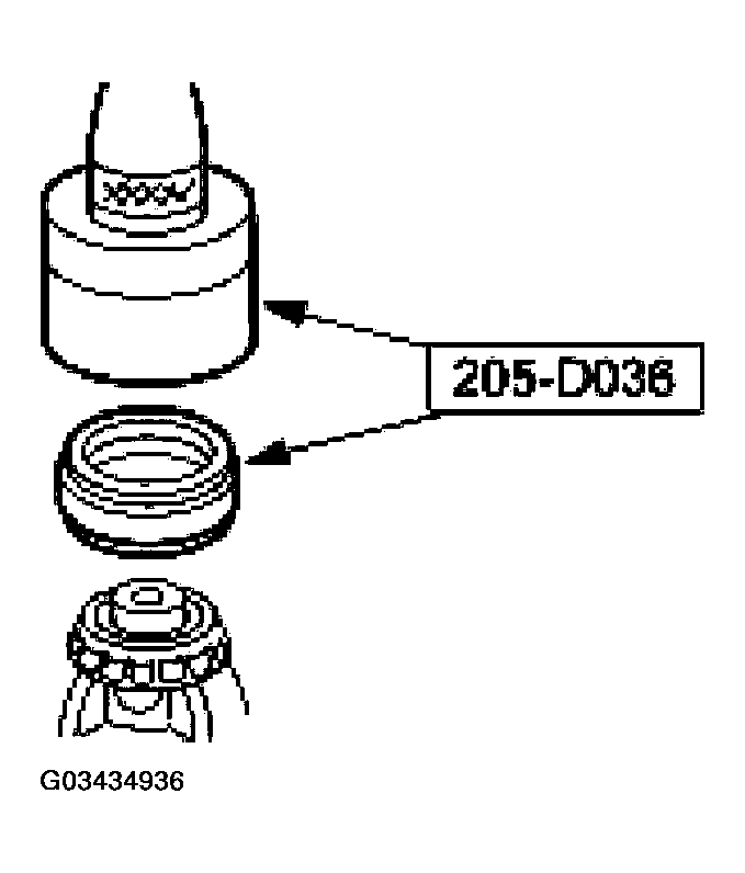 G03434936
