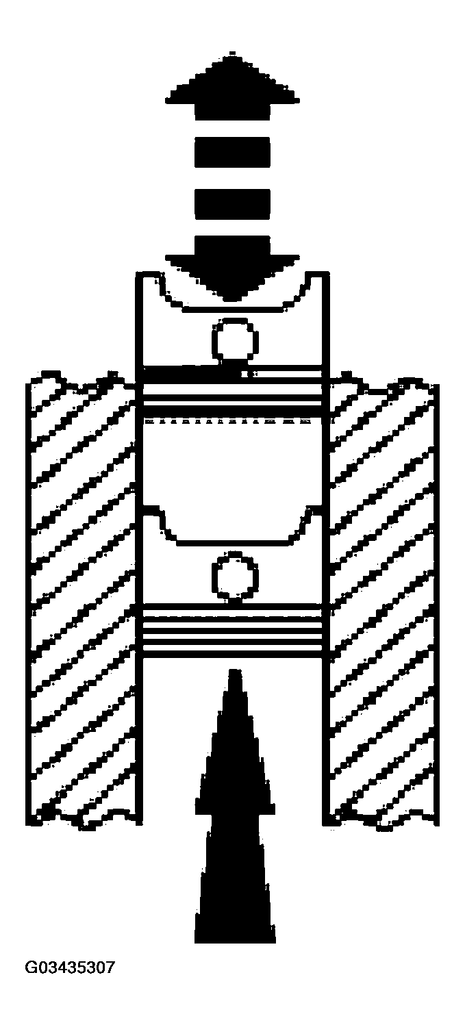 G03435307
