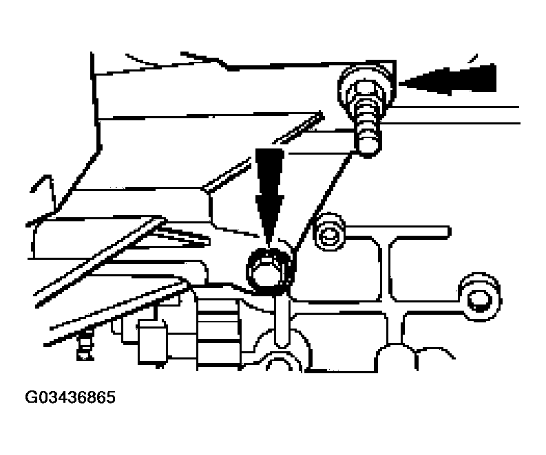 G03436865