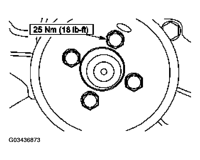 G03436873