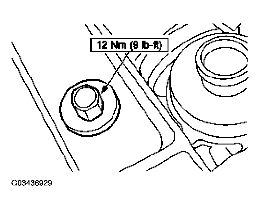 G03436929