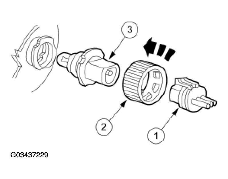 G03437229