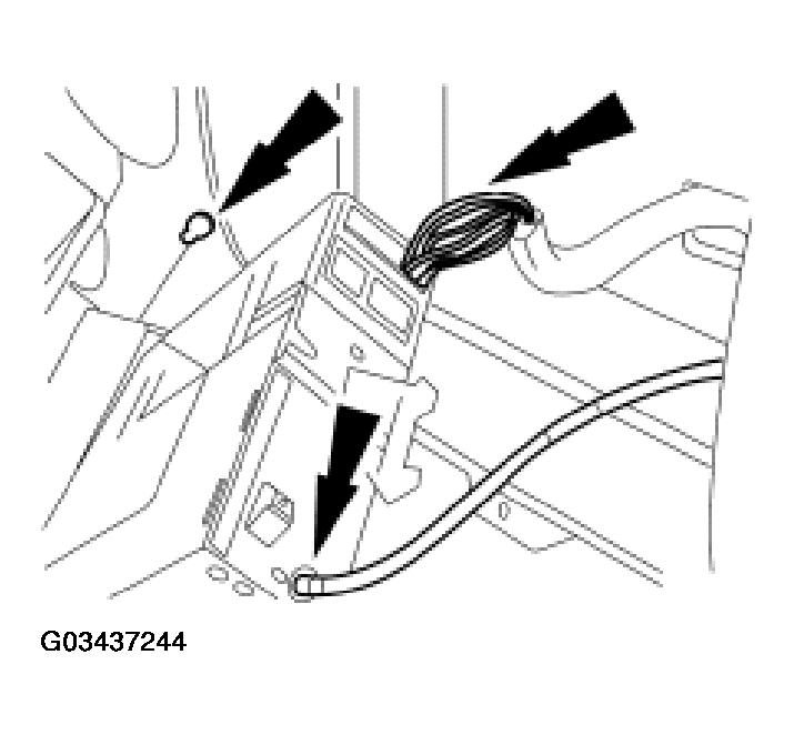 G03437244