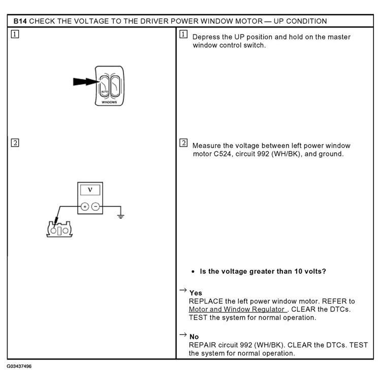 G03437496