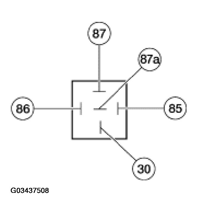 G03437508