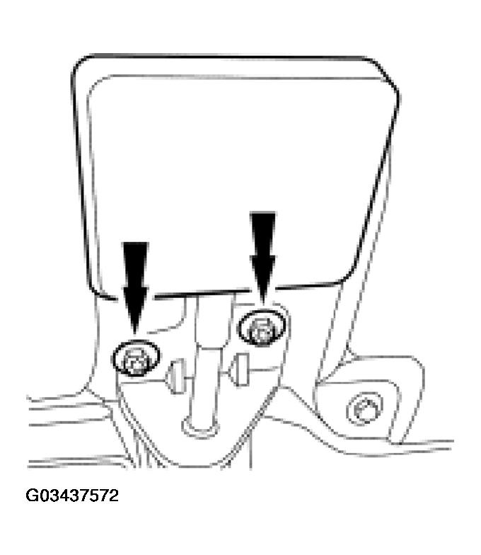 G03437572