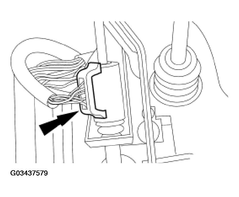 G03437579