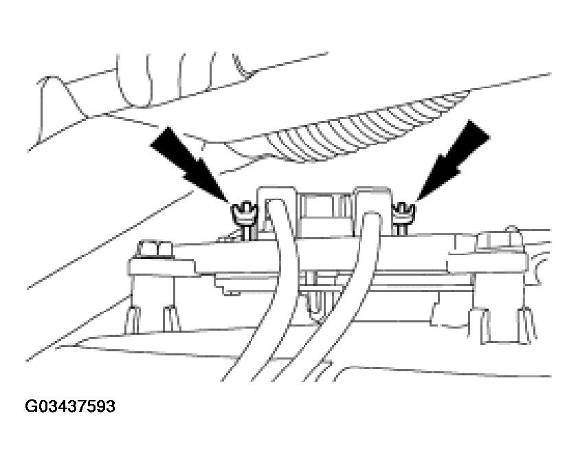 G03437593