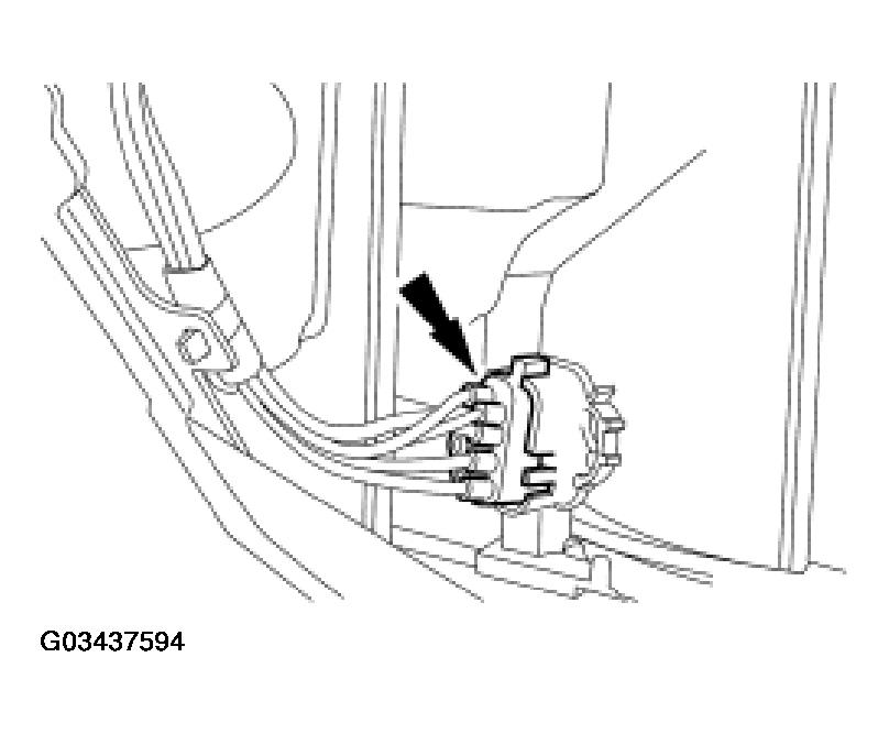 G03437594