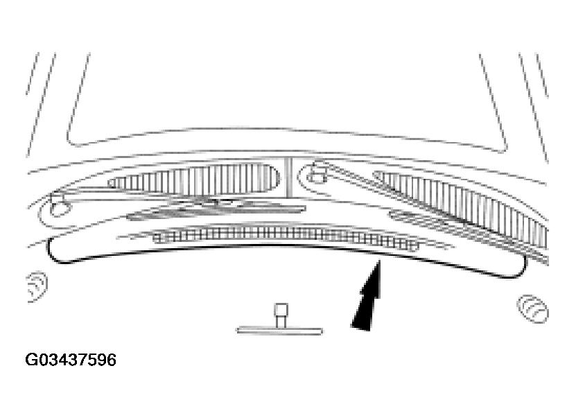 G03437596