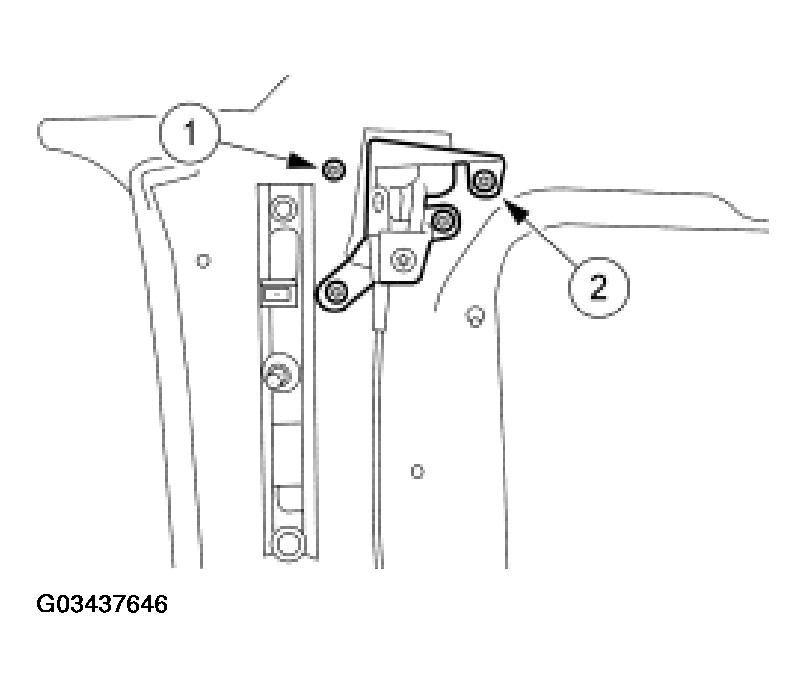 G03437646