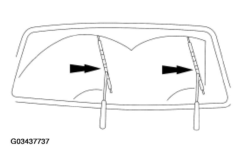 G03437737