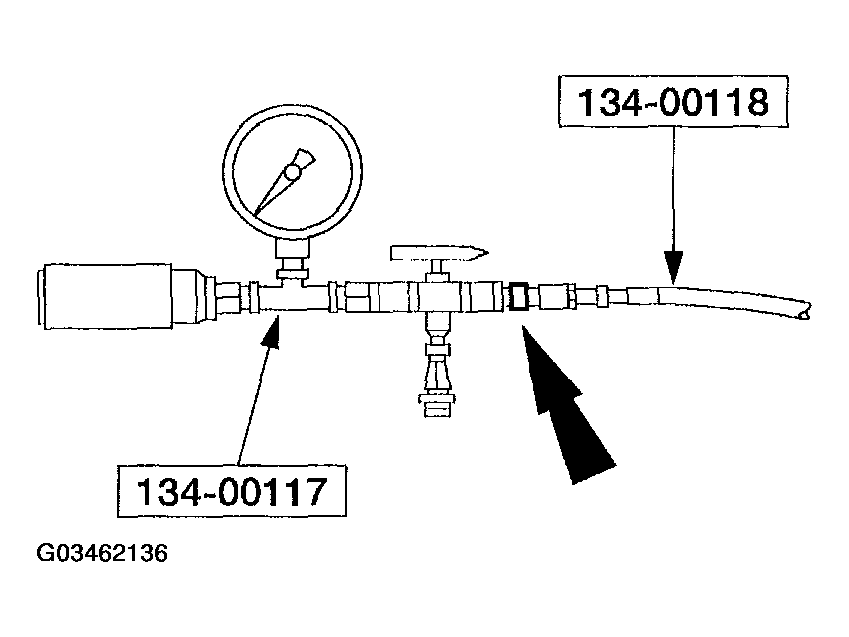 G03462136