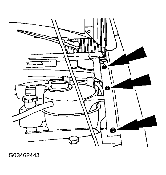 G03462443