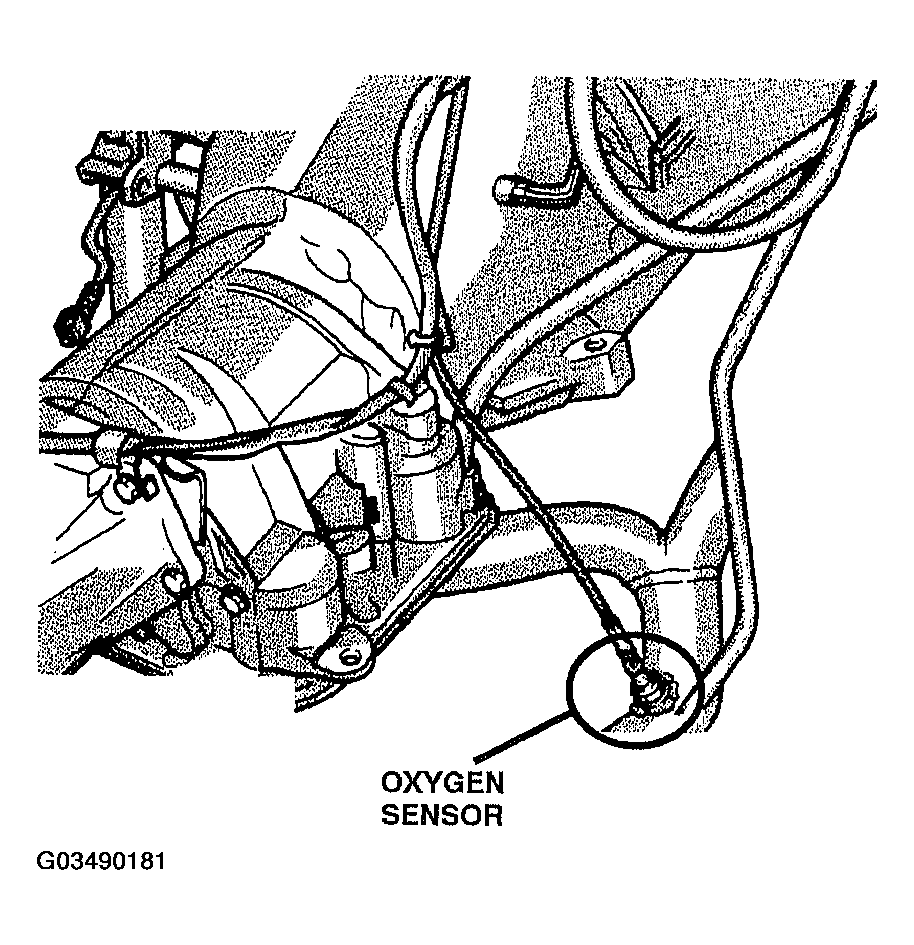 G03490181