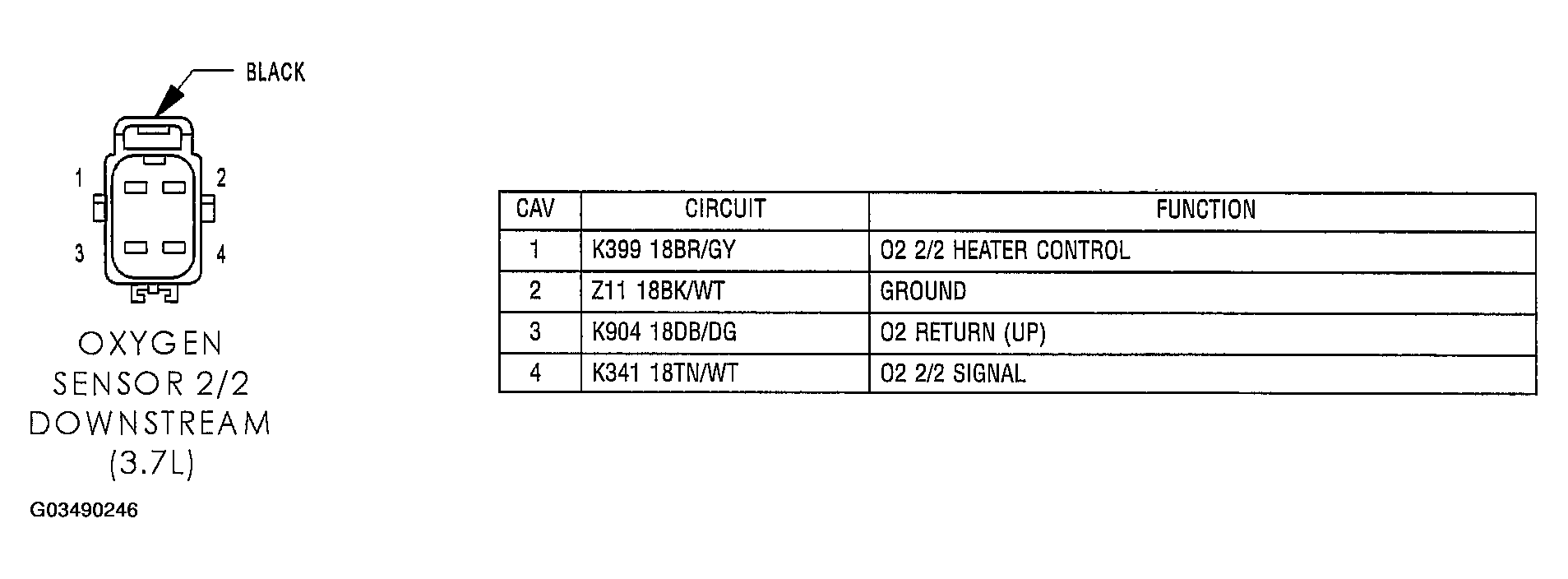 G03490246