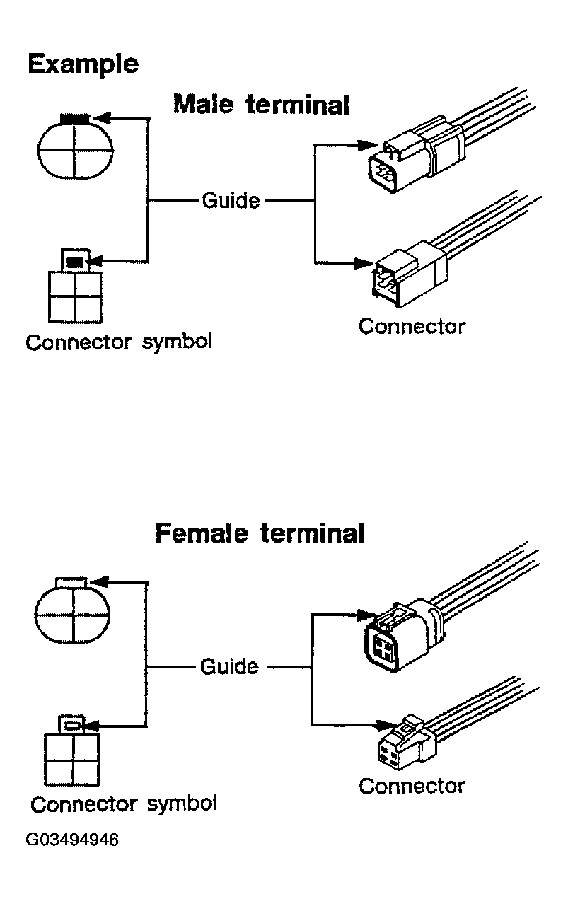 G03494946