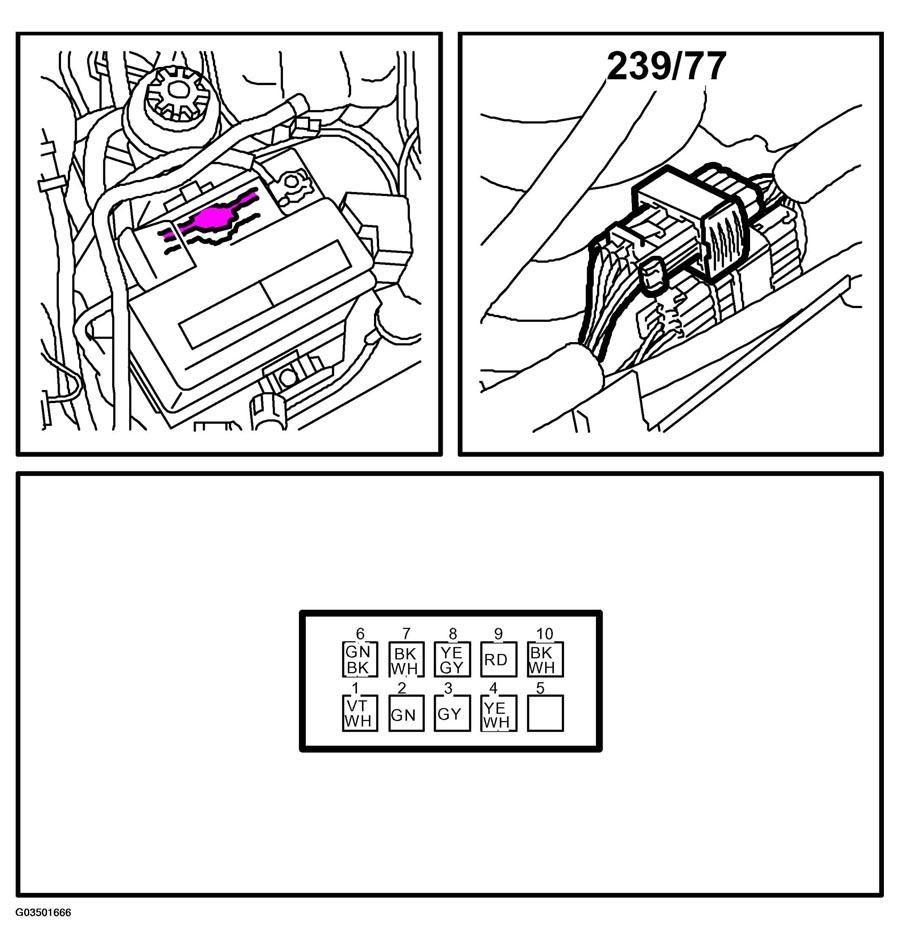 G03501666