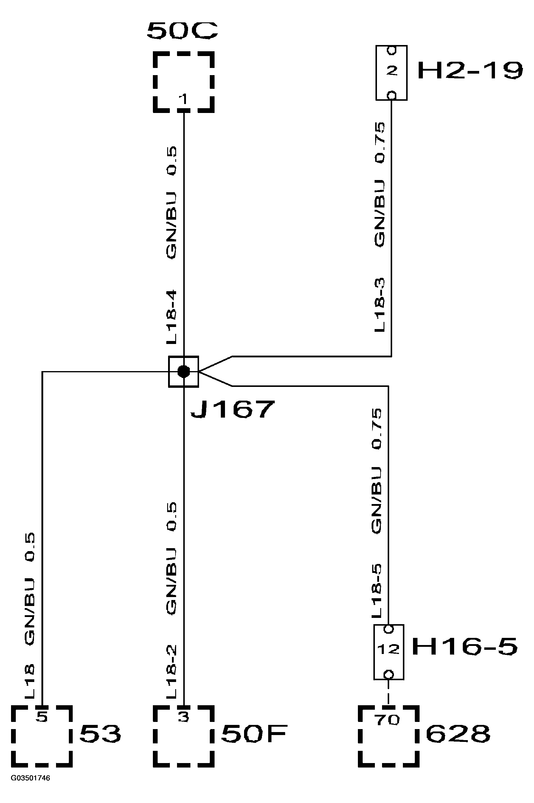 G03501746