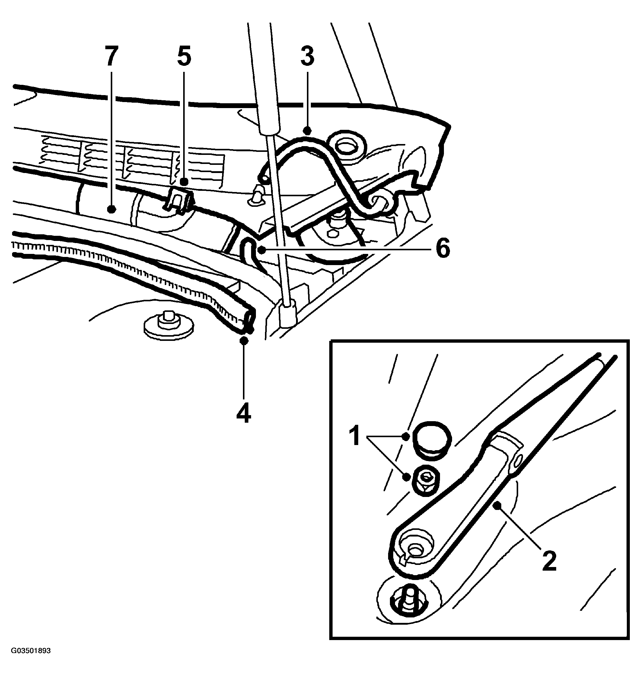 G03501893