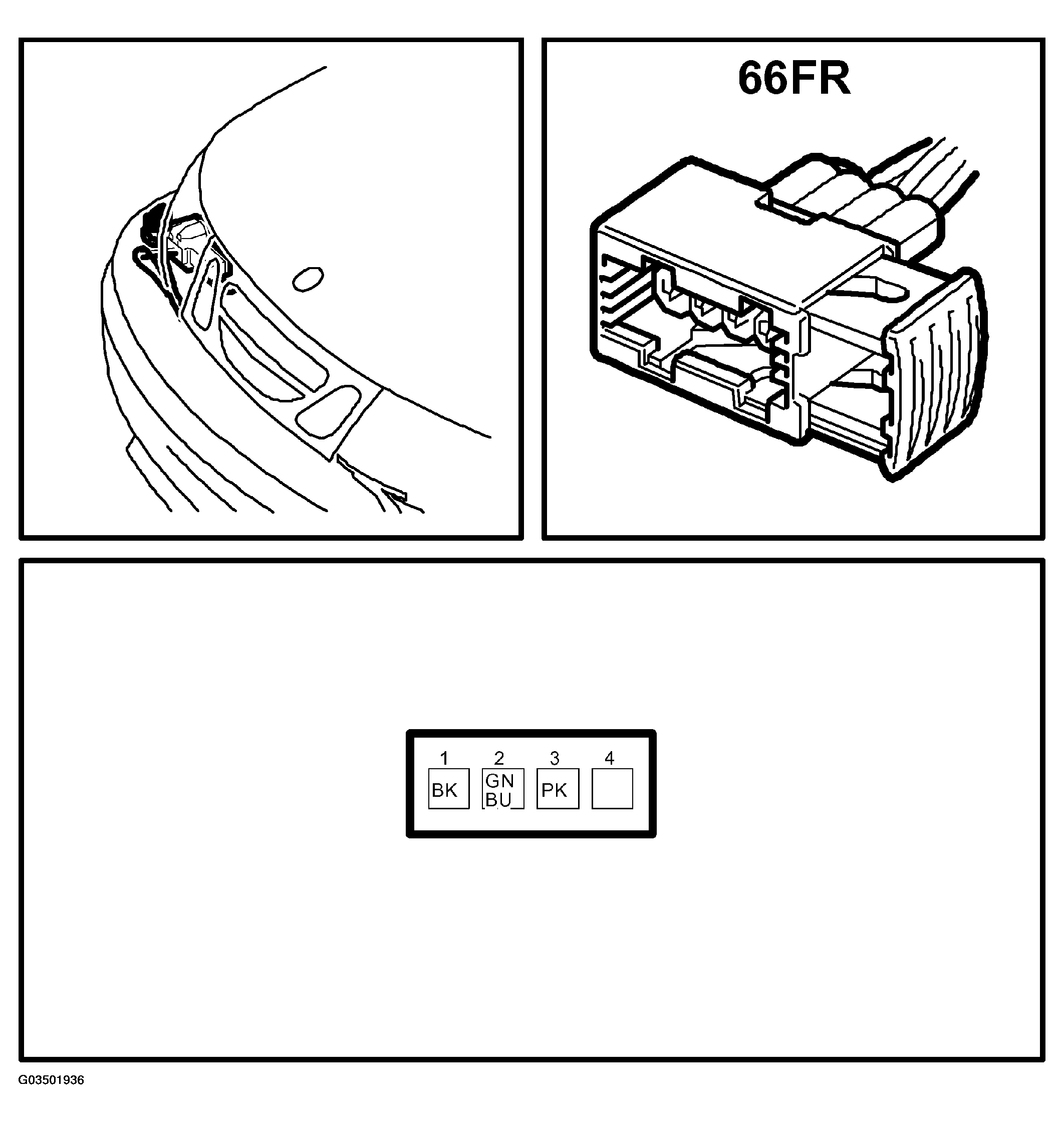 G03501936