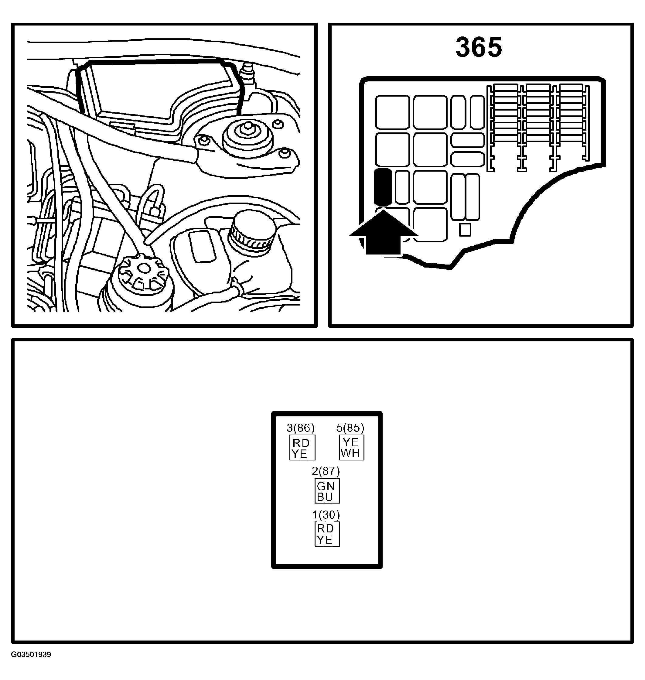 G03501939