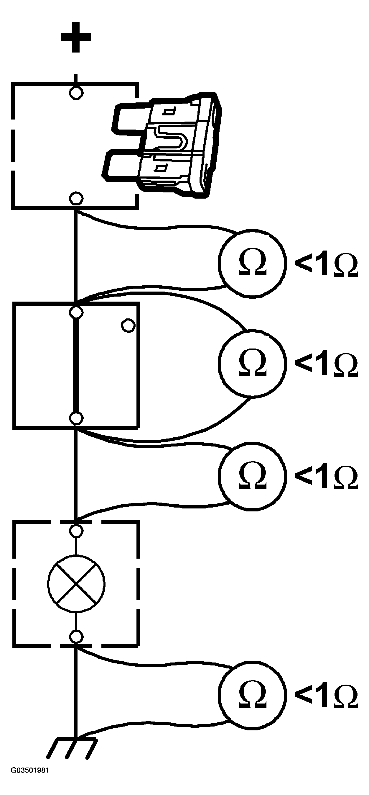 G03501981