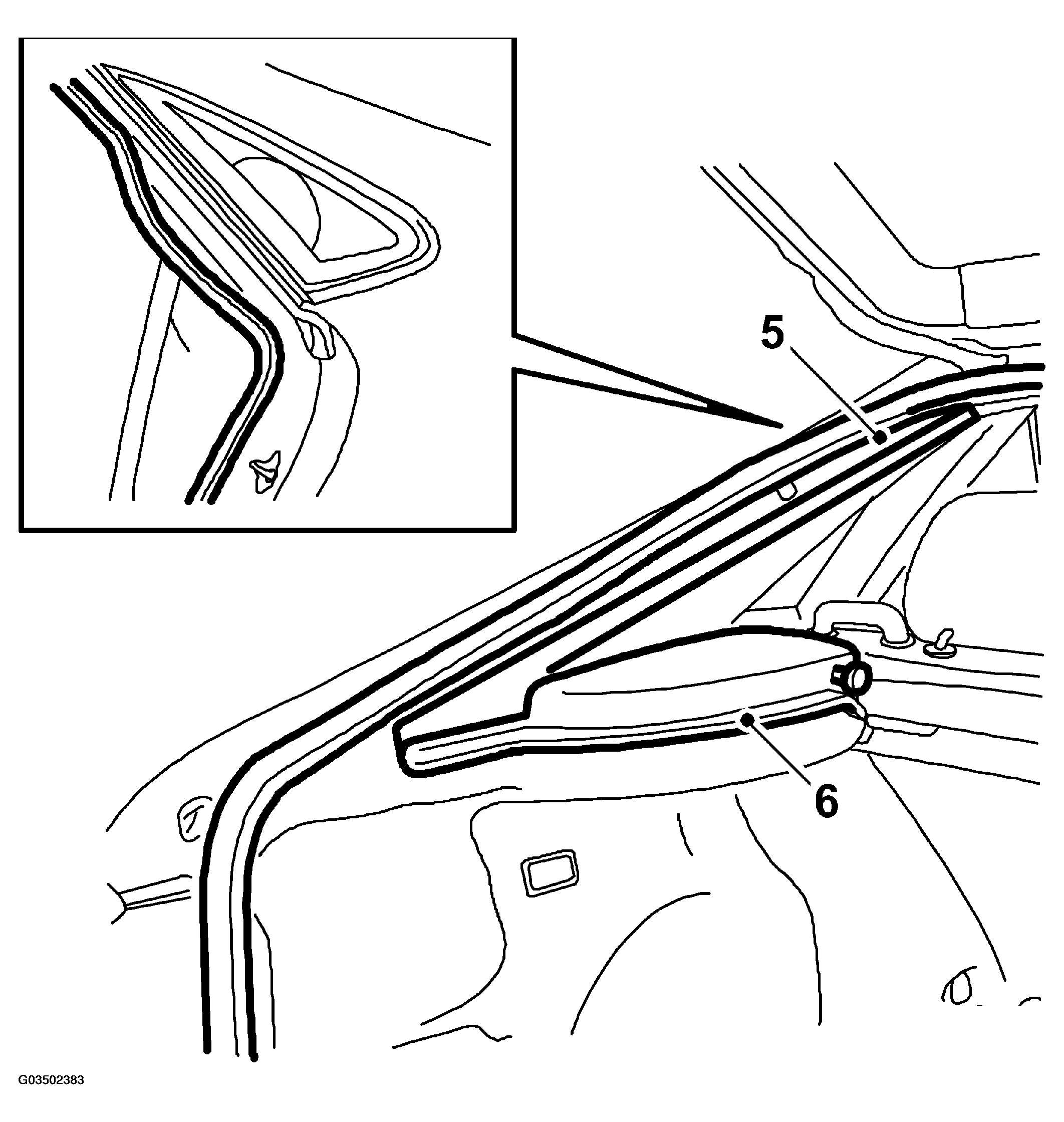 G03502383
