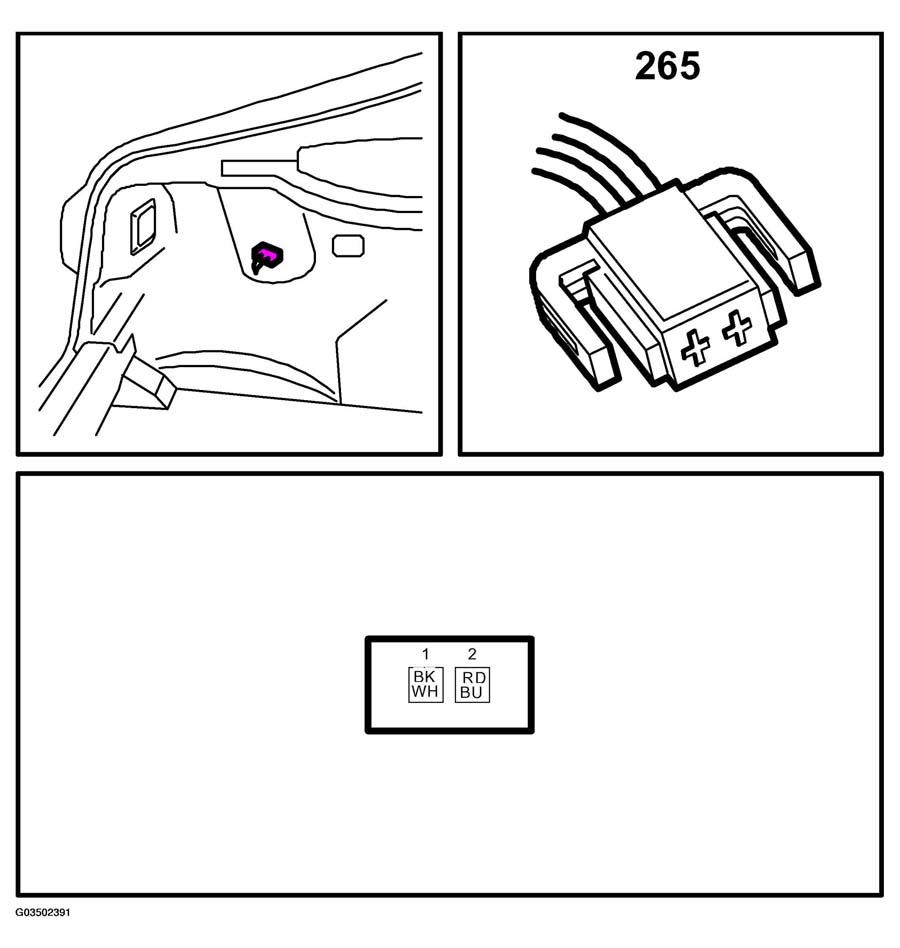 G03502391