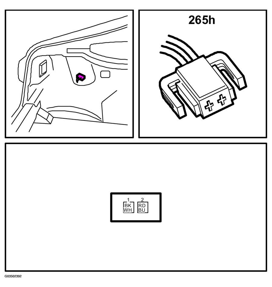 G03502392